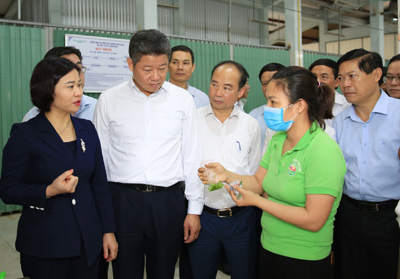 Tập trung xây dựng nông thôn mới nâng cao, nông thôn mới kiểu mẫu